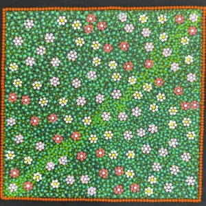Wildflowers in Springtime in Wiluna