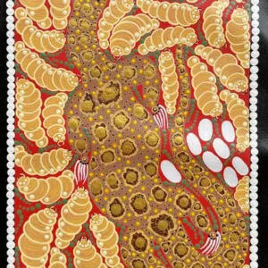 Goanna and Bardi