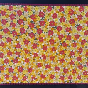 Daisy Flowers in Wiluna
