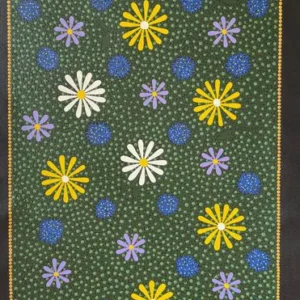 Different Daisy Flowers in Wiluna