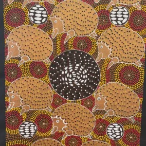 Echidna Dreaming